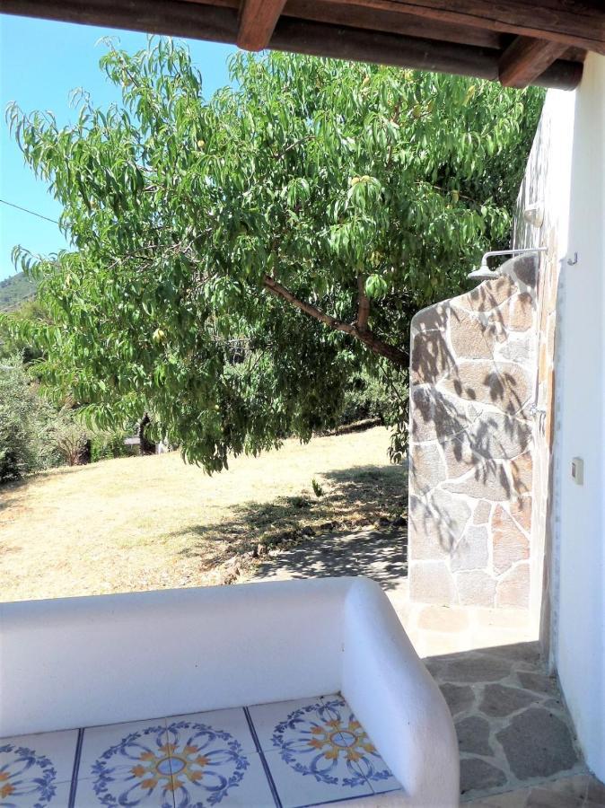 Case Al Mare - Terrazzi Panoramici E Ampio Giardino Санта Марина Салина Екстериор снимка