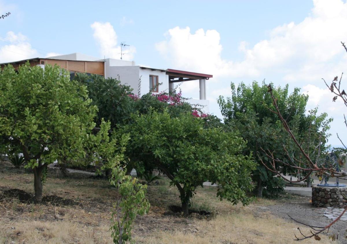 Case Al Mare - Terrazzi Panoramici E Ampio Giardino Санта Марина Салина Екстериор снимка